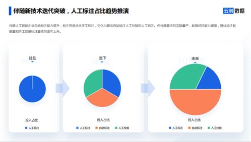 AI數(shù)據(jù)服務(wù) 去偽存真，打通智能駕駛?cè)珗鼍奥涞財?shù)據(jù)閉環(huán)