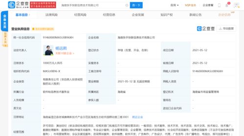 快手生態再擴張 關聯公司新設信息技術子公司，加碼數據服務賽道
